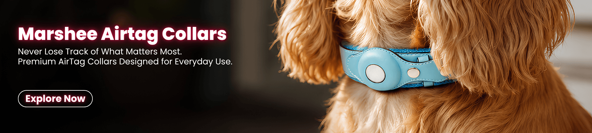 airtagcollar