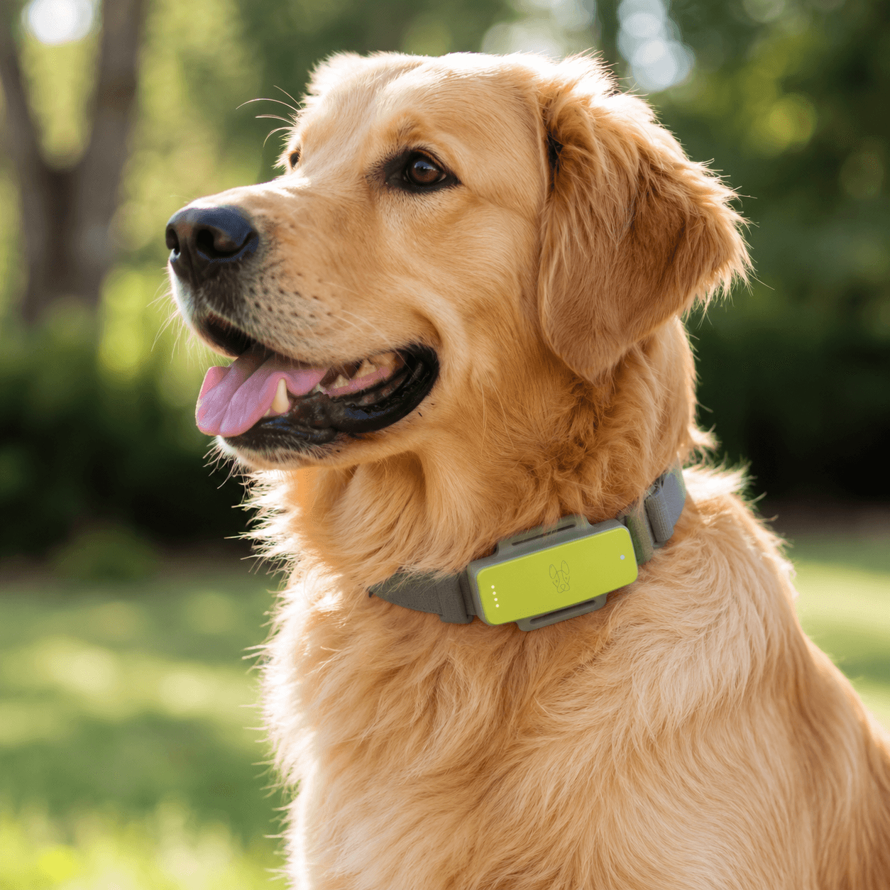 WooFit GPS tracking