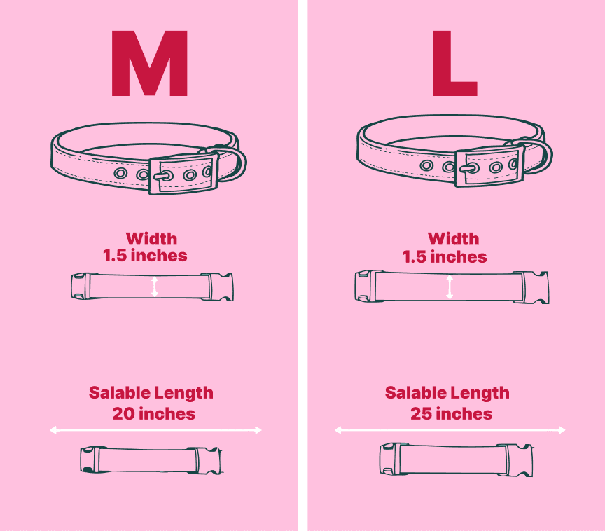 Never Lose Your Dog Again -Smart Airtag Collar Built for Safety (Ultra Leather) — image 5 of 5